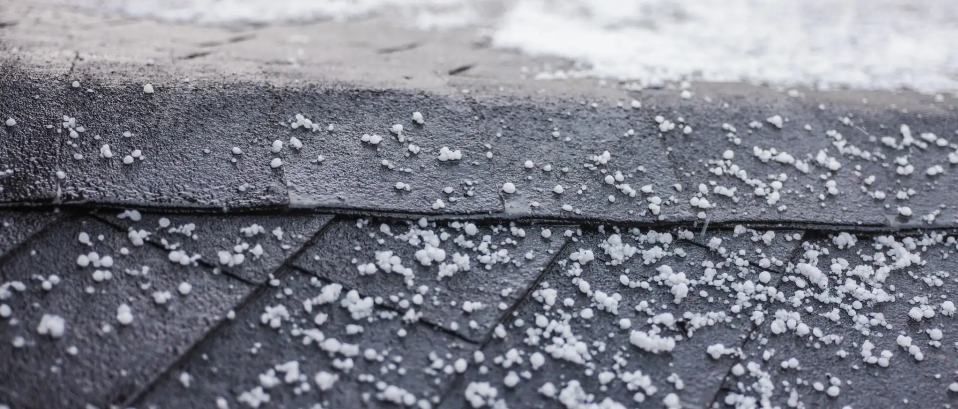 Hail Damaged Shingles